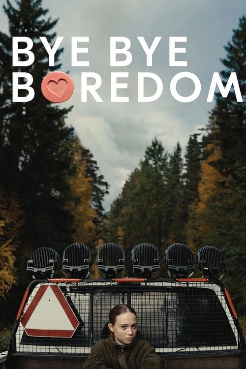 Bye Bye Boredom постер