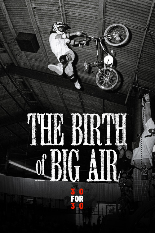 The Birth of Big Air постер