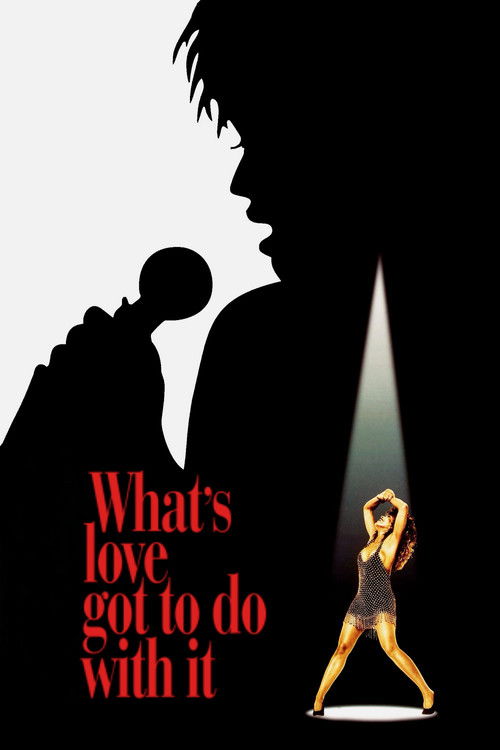 What's Love Got to Do with It постер