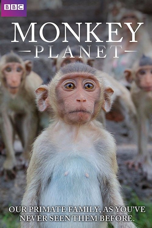 Monkey Planet постер