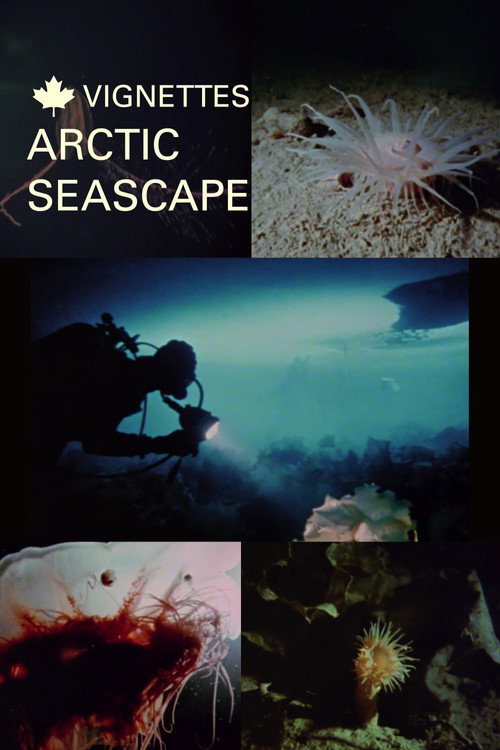 Canada Vignettes: Arctic Seascape постер