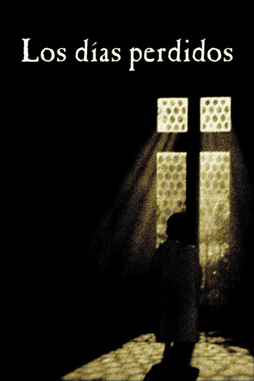 Los días perdidos постер