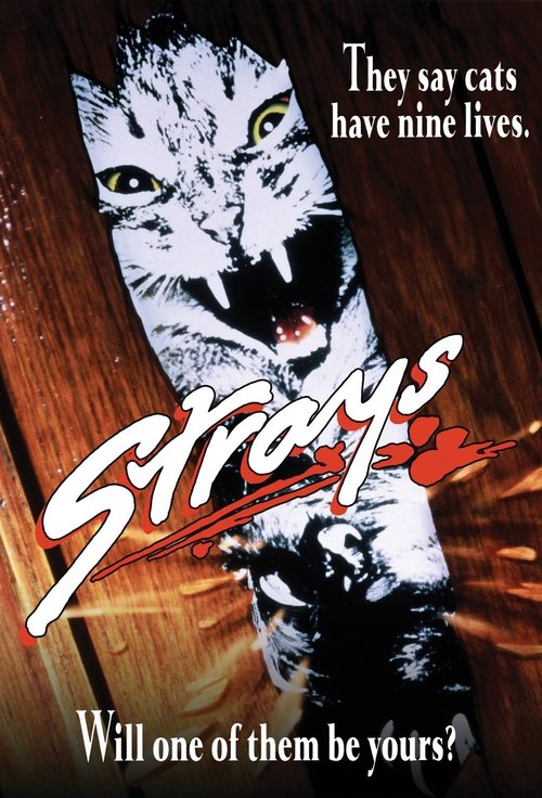 Strays постер