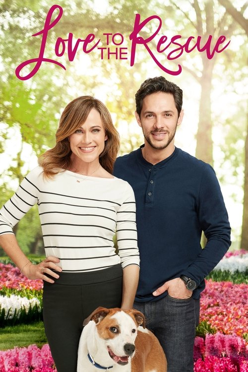 Спасительная любовь постер