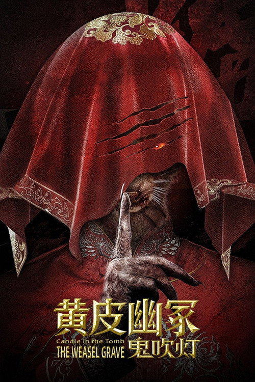 鬼吹灯之黄皮幽冢 постер