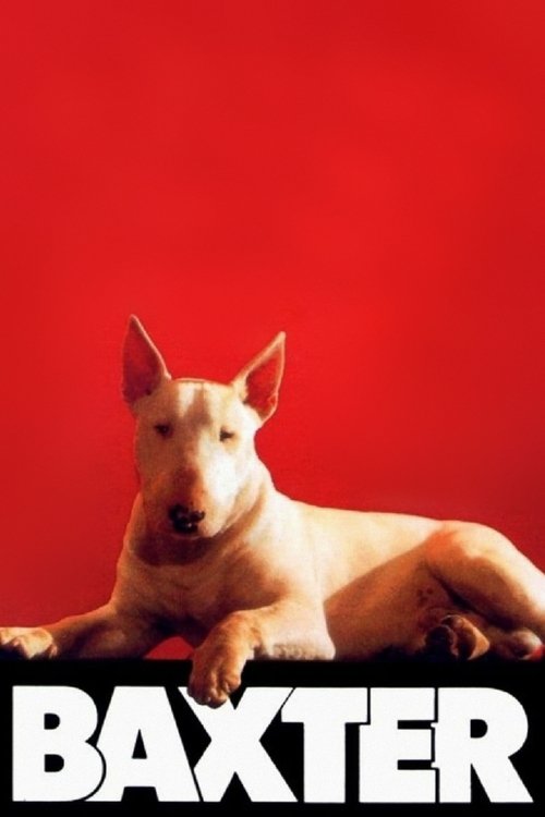 Baxter постер