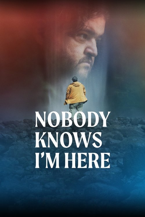 Nobody Knows I'm Here постер