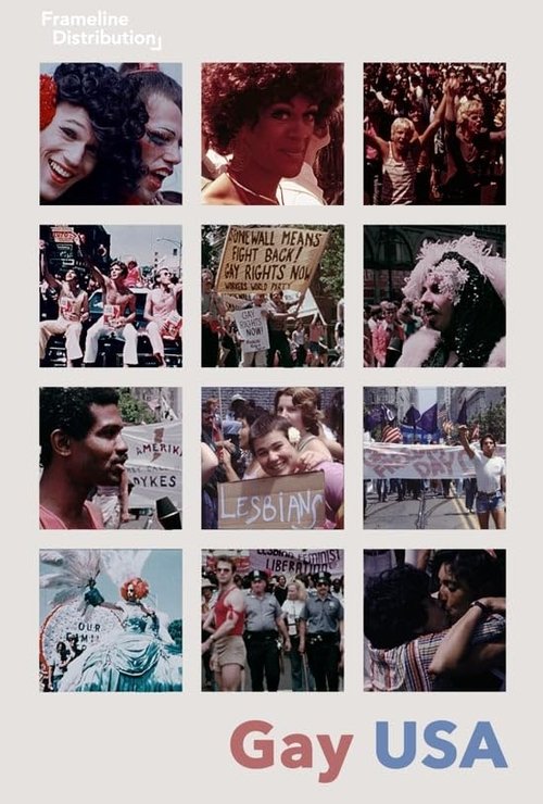 Gay USA постер