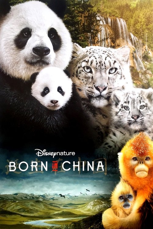 Born in China постер