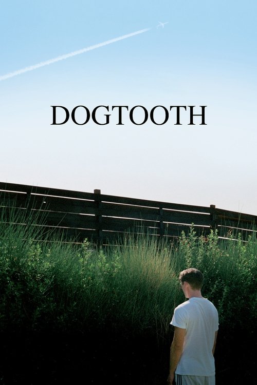Dogtooth постер