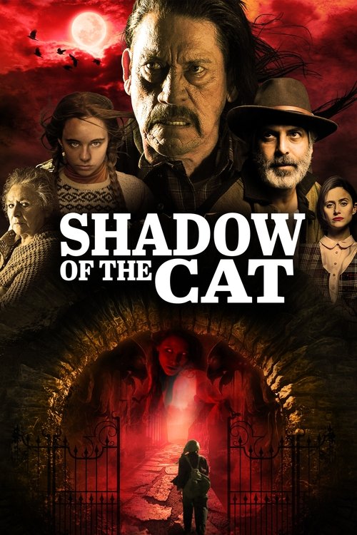 La sombra del gato постер