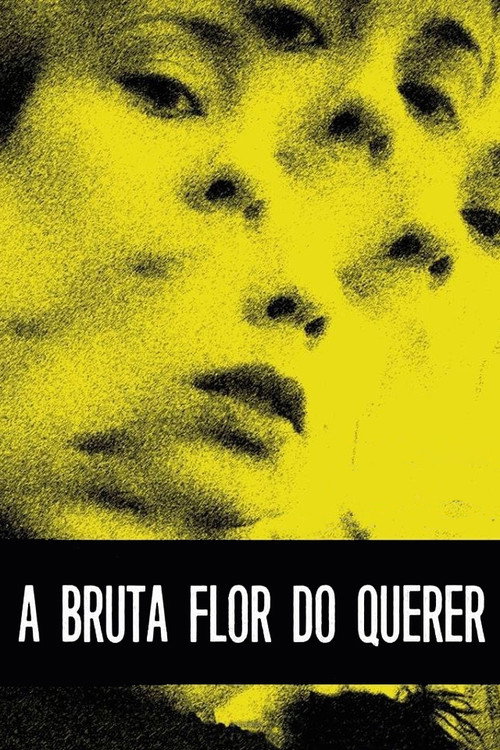 A Bruta Flor do Querer постер