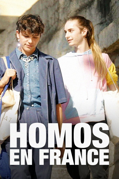 Homos en France постер