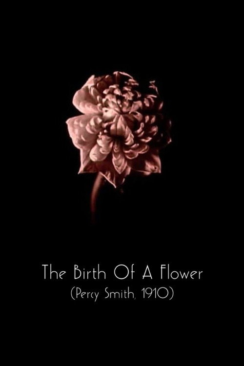 The Birth of a Flower постер