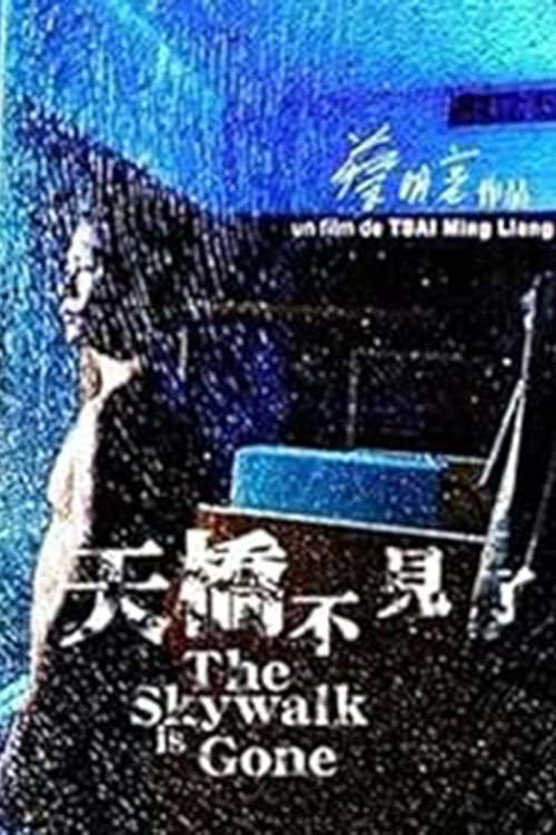 天橋不見了 постер