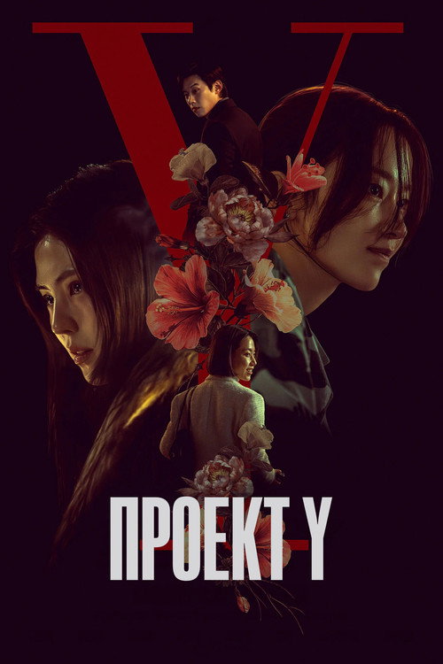 Проект Y постер