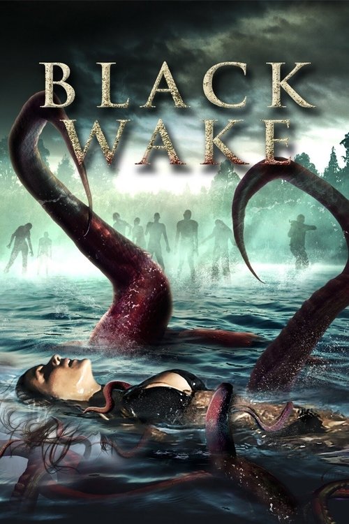 Black Wake постер