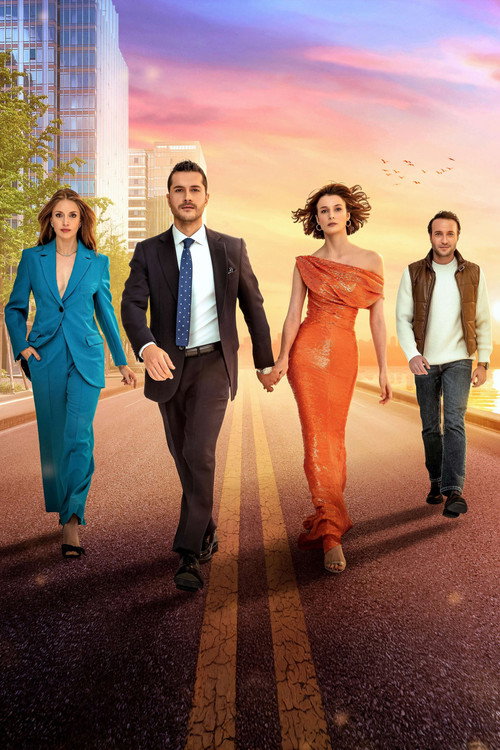 Erkek Severse постер