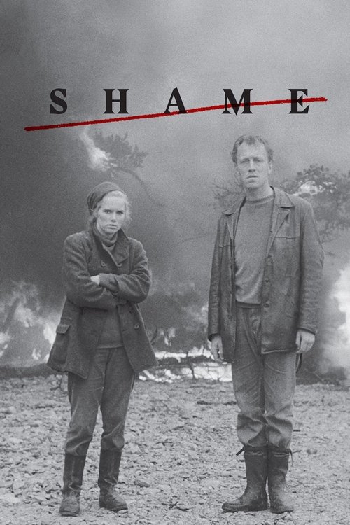 Shame постер