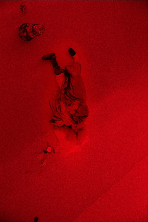 Roi Soleil постер