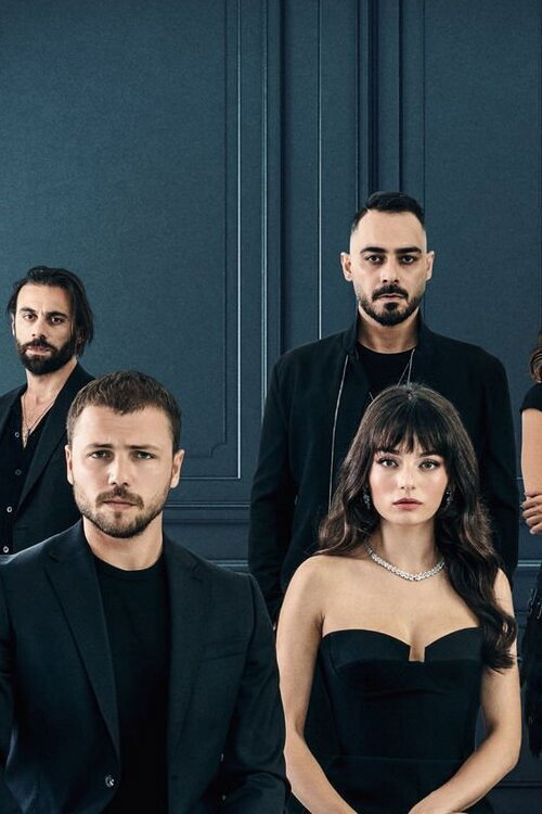 Задира постер