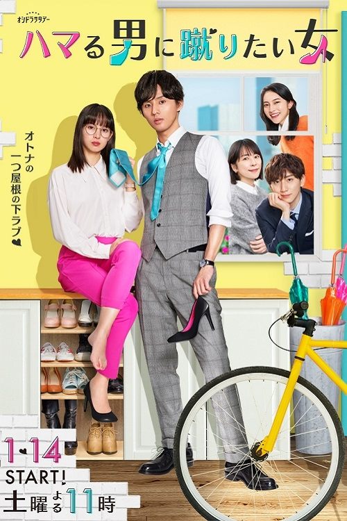 ハマる男に蹴りたい女 постер