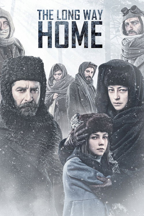 The Long Way Home постер