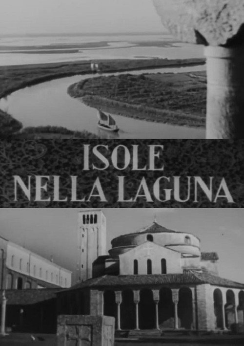 Isole nella laguna постер