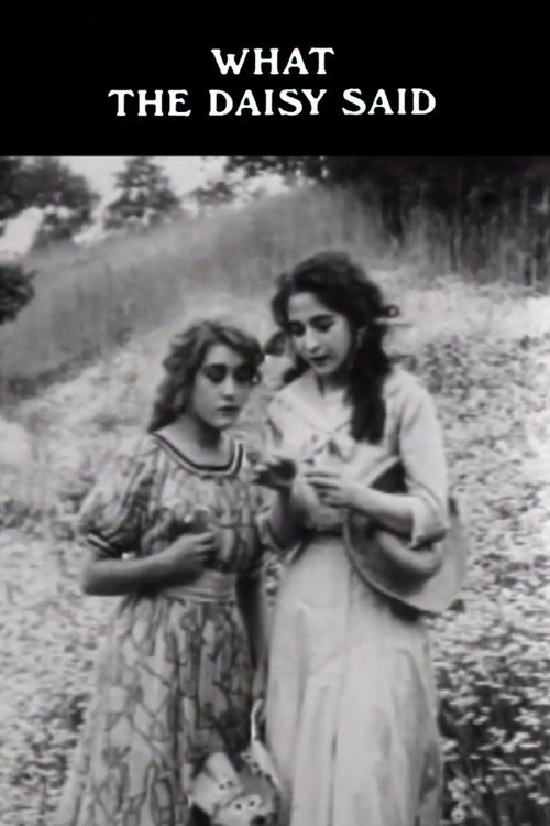 What the Daisy Said постер