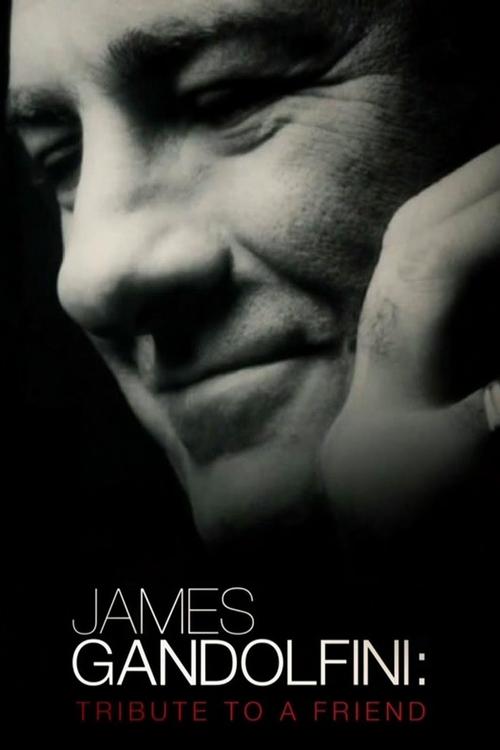 James Gandolfini: Tribute to a Friend постер