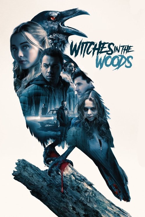 Witches in the Woods постер