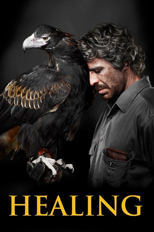 Healing постер