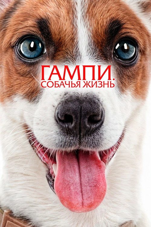 Гампи. Собачья жизнь постер