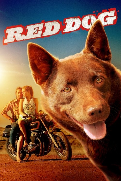 Red Dog постер