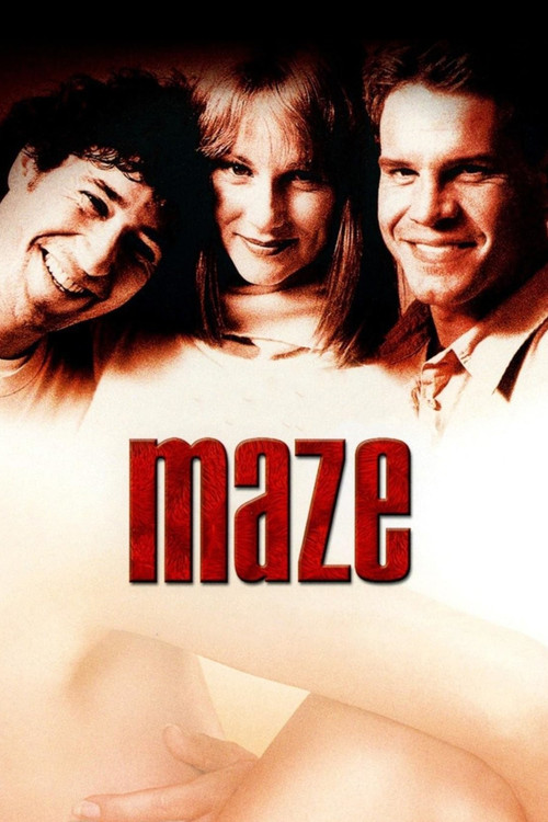 Maze постер