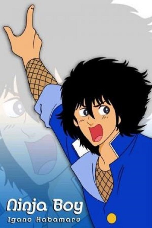 Ninja Boy постер