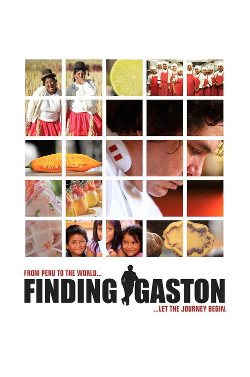 Buscando a Gastón постер
