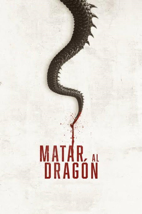 Matar al dragón постер