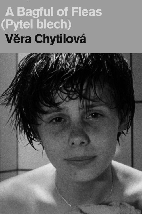 Pytel blech постер