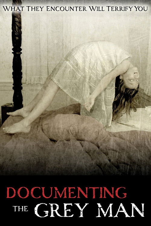 Documenting the Grey Man постер