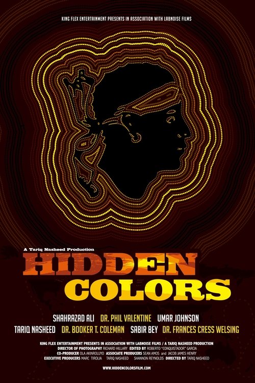 Hidden Colors постер