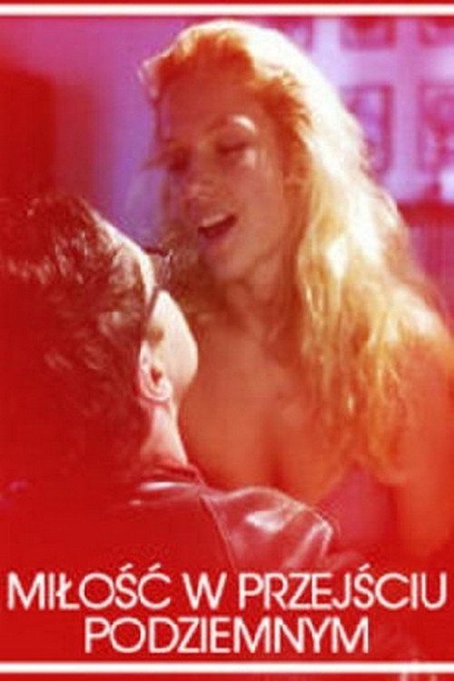 Love in an Underground Passage постер