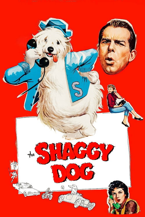 Лохматый пёс постер