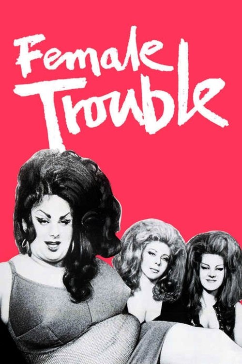 Female Trouble постер
