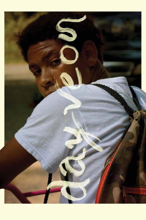 Дейвон постер