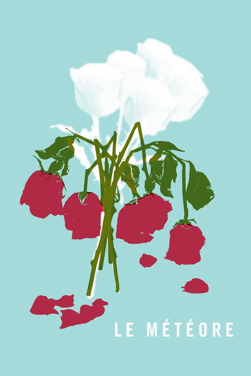 Le météore постер