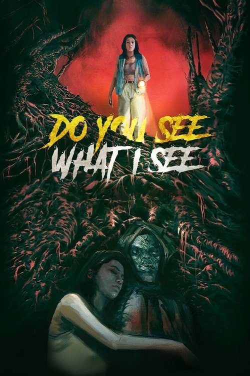 Do You See What I See постер