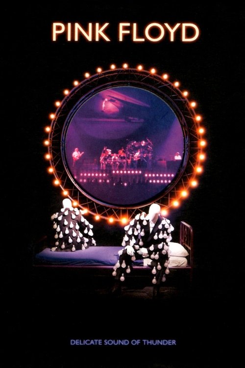 Pink Floyd: Delicate Sound of Thunder постер