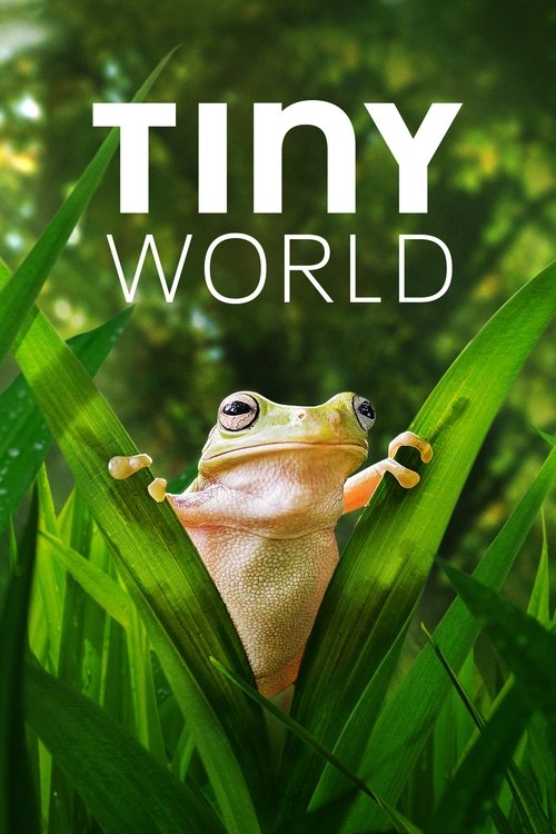 Tiny World постер