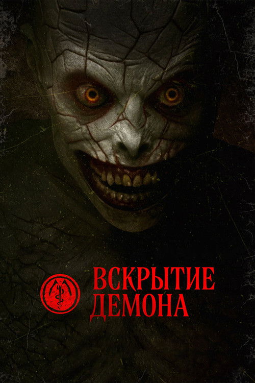 Вскрытие демона постер
